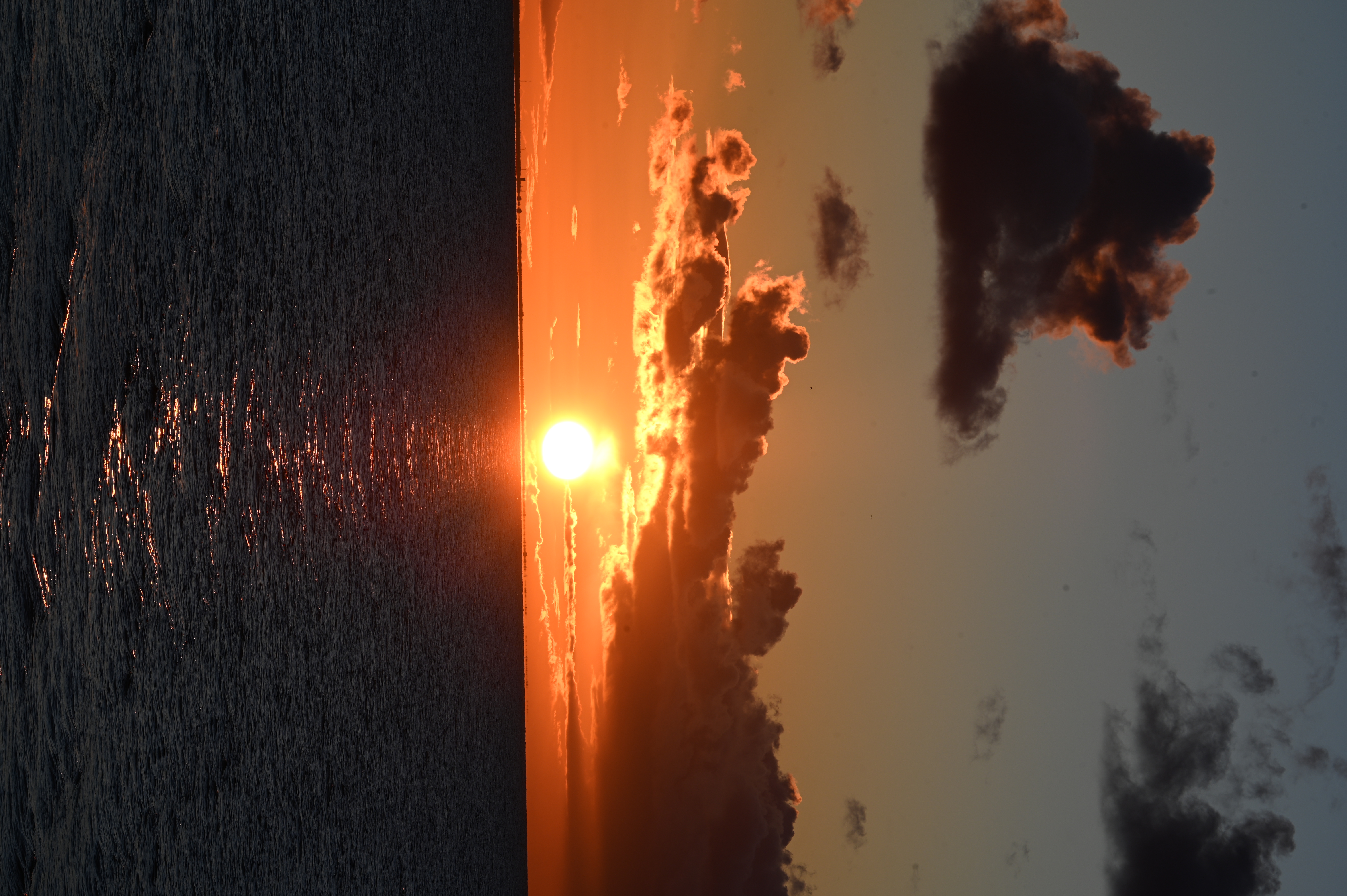 2025/10/18 - walk/DSC_0445.JPG